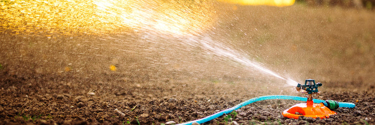 Letkut ja Sprinklerit